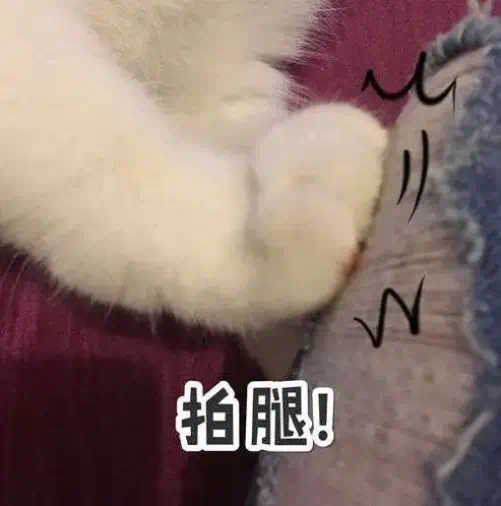 全网黑料吃瓜：网络用语“宝贝腿迈开点我就吃到扇贝了”是什么意